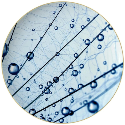 Luxuriöses Blue Crystal Dewdrops Muster Geschirrset